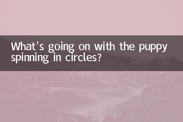 What's going on with the puppy spinning in circles?