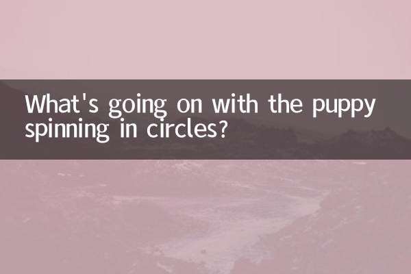 What's going on with the puppy spinning in circles?