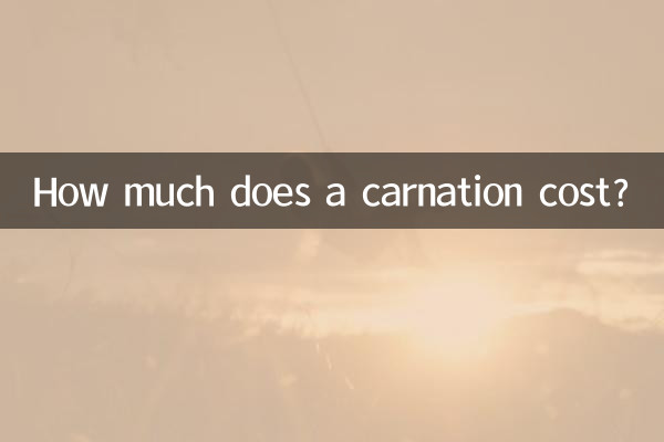 একটি কার্নেশন খরচ কত?