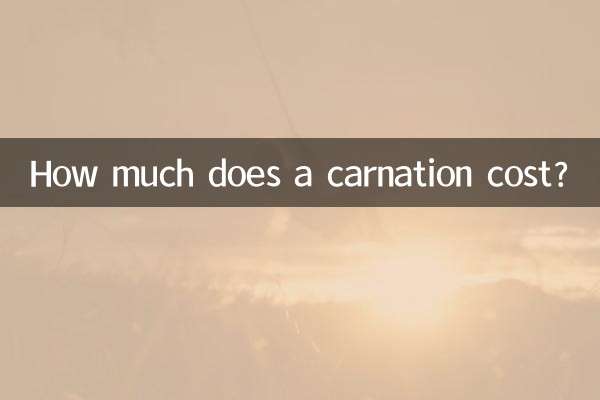 一支康乃馨多少錢