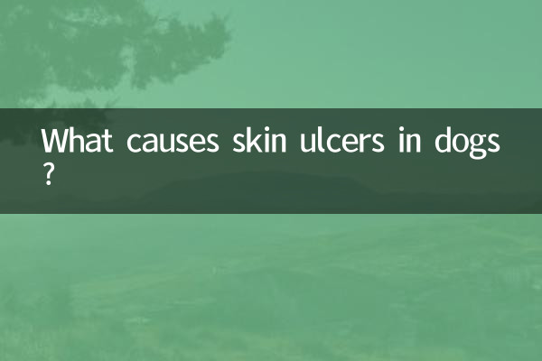 Quelles sont les causes des ulcères cutanés chez le chien ?
