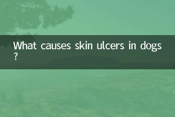 ما الذي يسبب تقرحات الجلد في الكلاب؟