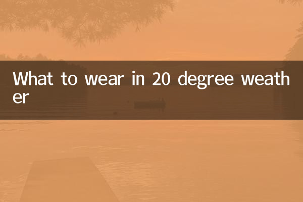20도 날씨에 무엇을 입을까요?