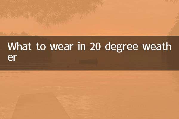 20도 날씨에 무엇을 입을까요?