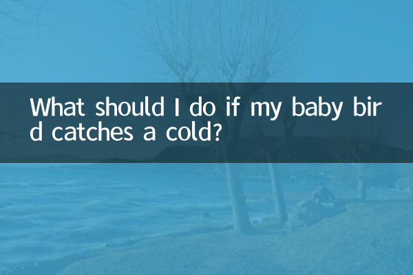 Что делать, если мой птенец простудился?