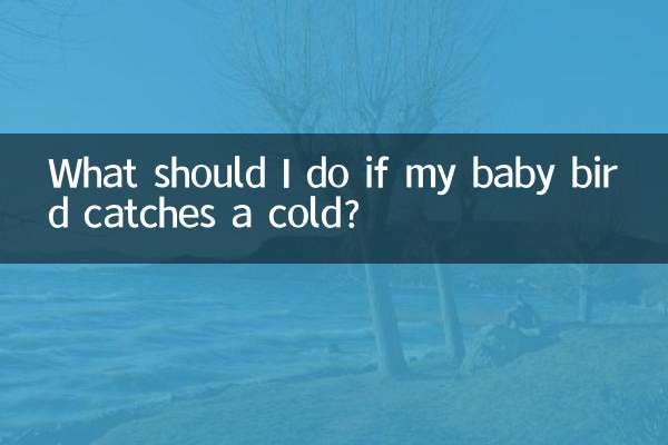 Что делать, если мой птенец простудился?