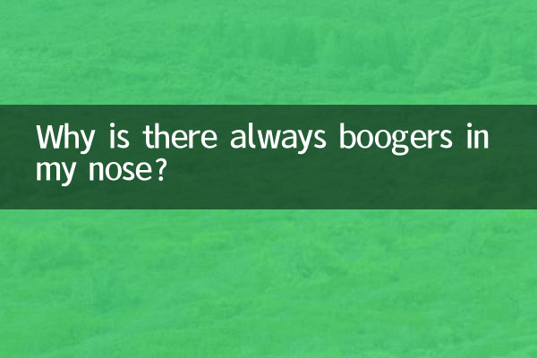 코에는 왜 항상 코딱지가 들어있나요?