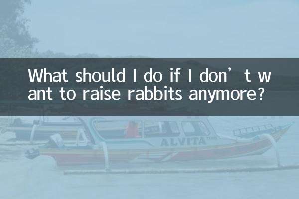 더 이상 토끼를 키우고 싶지 않다면 어떻게 해야 하나요?