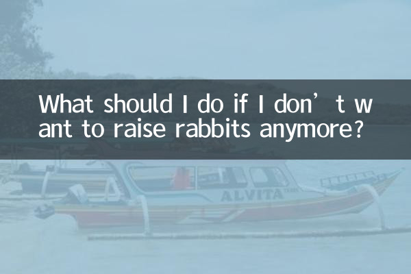 더 이상 토끼를 키우고 싶지 않다면 어떻게 해야 하나요?