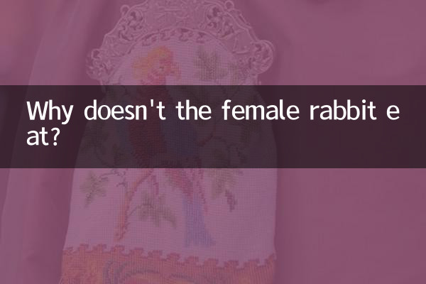 لماذا لا تأكل أنثى الأرنب؟