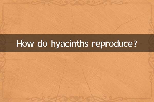 히아신스는 어떻게 번식하나요?