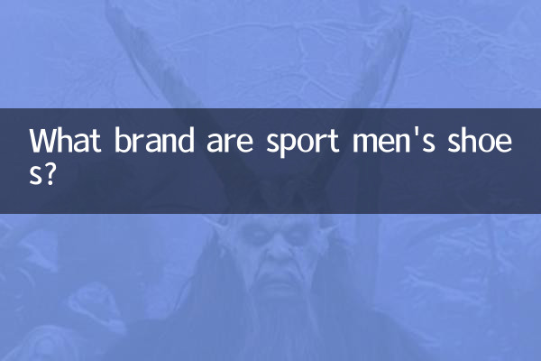 ক্রীড়া পুরুষদের জুতা কি ব্র্যান্ড?