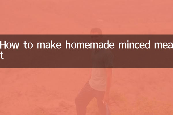 怎么自制肉末