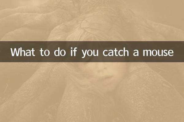 Что делать, если поймал мышь