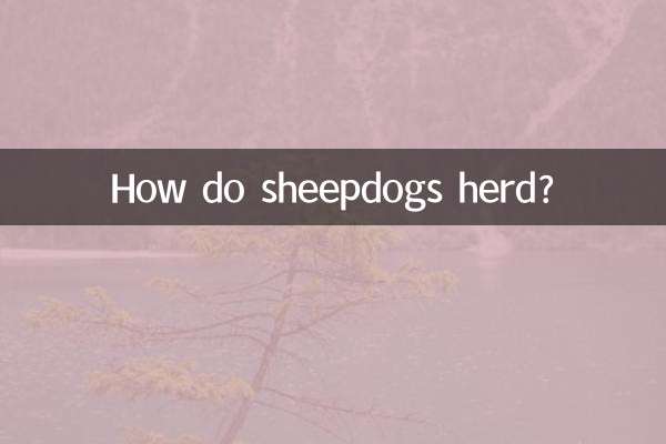 양치기 개는 어떻게 동물을 모나요?