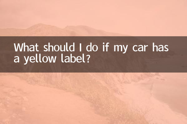 내 차에 노란색 라벨이 붙어 있으면 어떻게 해야 합니까?