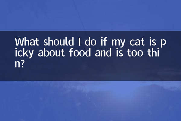 Cosa devo fare se il mio gatto è esigente riguardo al cibo ed è troppo magro?