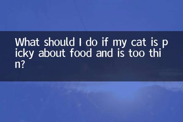 Cosa devo fare se il mio gatto è esigente riguardo al cibo ed è troppo magro?