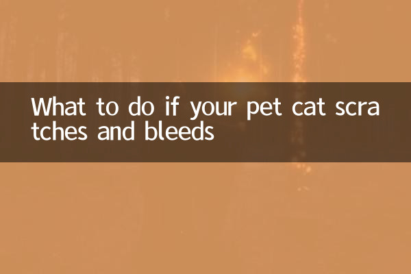 宠物猫抓伤出血怎么办