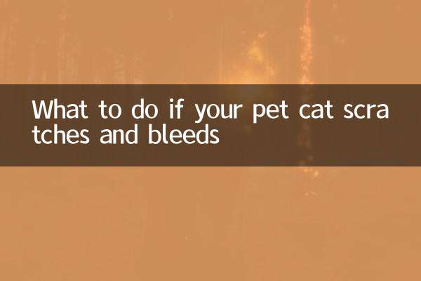 宠物猫抓伤出血怎么办