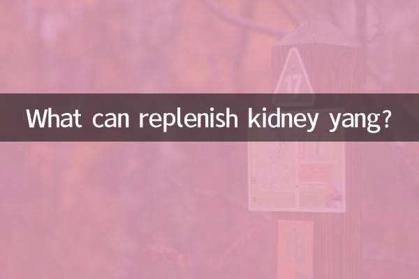 What can replenish kidney yang?