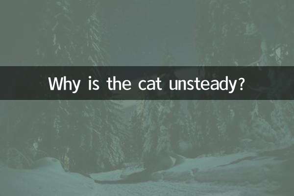 Perché il gatto è instabile?