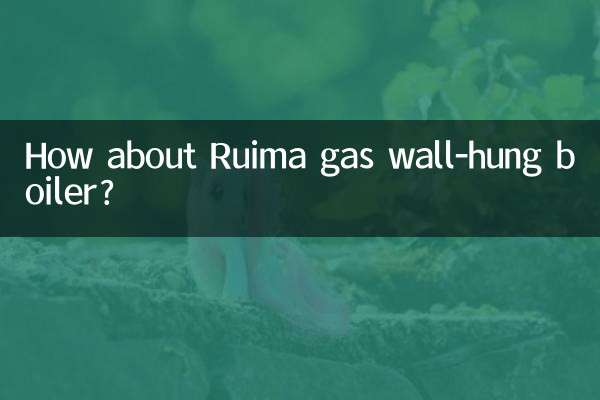 Ruimaガス壁掛けボイラーはいかがですか？