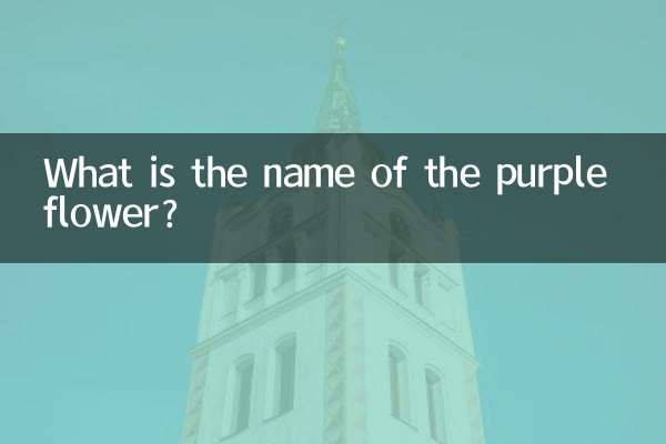 جامنی رنگ کے پھول کا نام کیا ہے؟