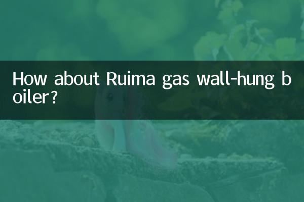 Ruimaガス壁掛けボイラーはいかがですか?