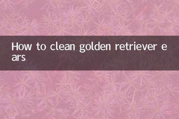 So reinigen Sie die Ohren eines Golden Retrievers