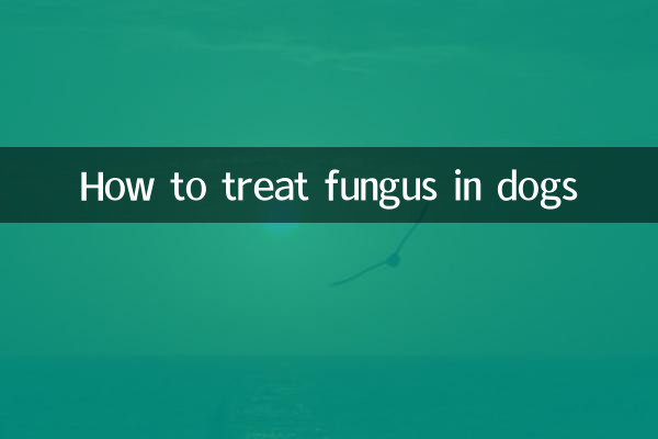कुत्तों में फंगस का इलाज कैसे करें