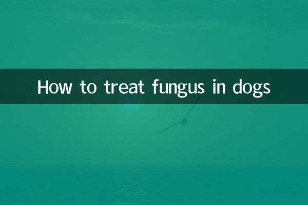 How to treat fungus in dogs