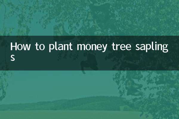 منی ٹری کے پودے لگانے کا طریقہ