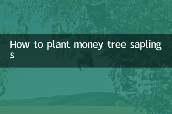 منی ٹری کے پودے لگانے کا طریقہ