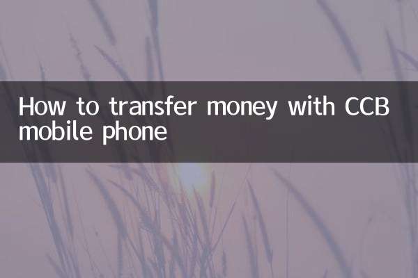 Come trasferire denaro con il cellulare CCB