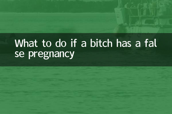 小母狗假孕怎麼辦