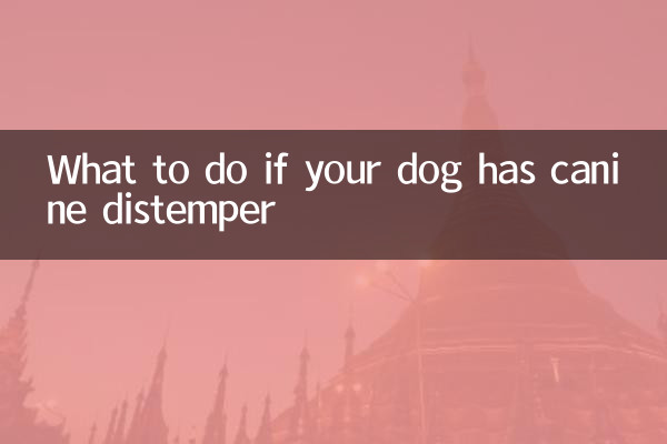 اگر آپ کے کتے کے پاس کینائن ڈسٹیمپر ہے تو کیا کریں