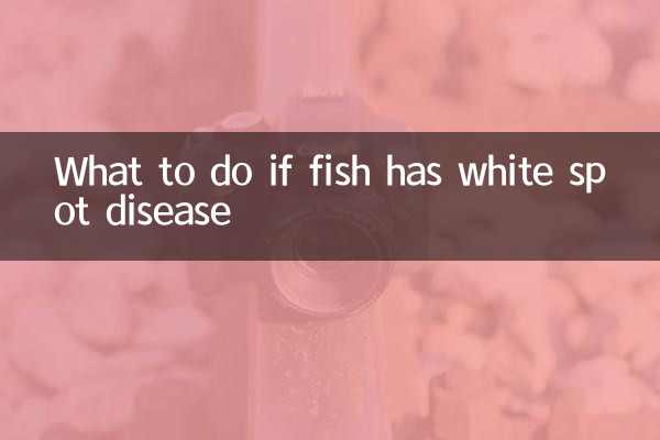 اگر مچھلی کو سفید جگہ کی بیماری ہو تو کیا کریں