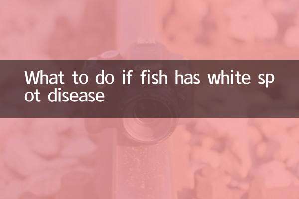 اگر ماهی بیماری لکه سفید داشته باشد چه باید کرد؟