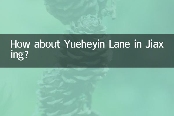 জিয়াক্সিং-এর ইউয়েহেইন লেন কেমন?