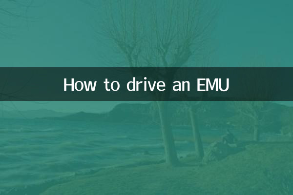 Wie man einen EMU fährt