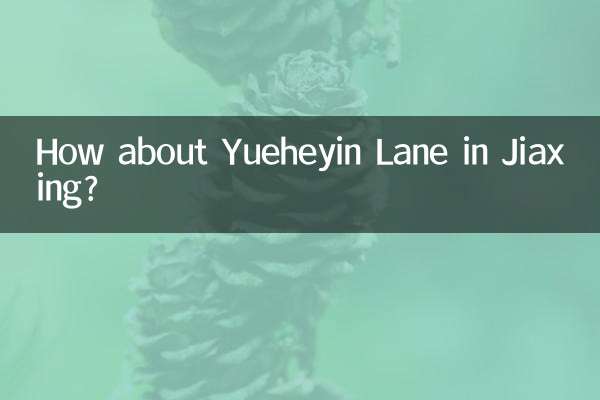 嘉兴月河印巷怎么样