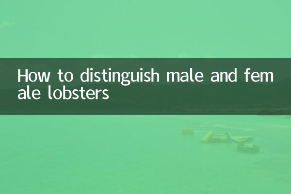 大龍蝦怎麼區分公母