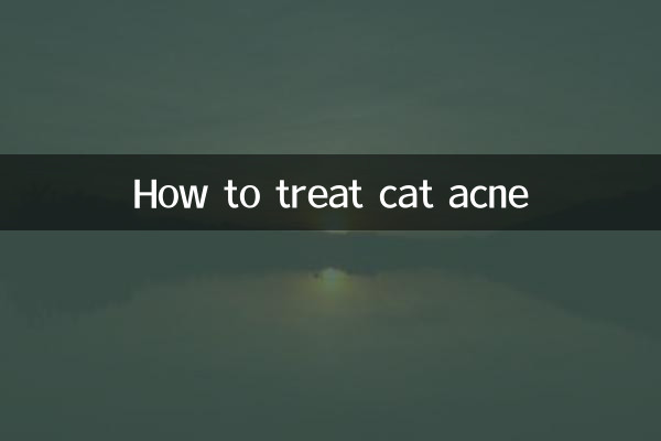 Come trattare l'acne del gatto