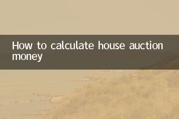 Как посчитать деньги на аукционе дома