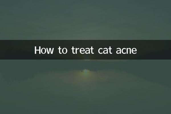 How to treat cat acne