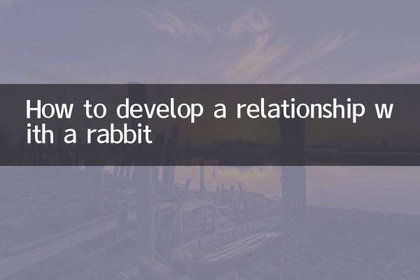 How to develop a relationship with a rabbit