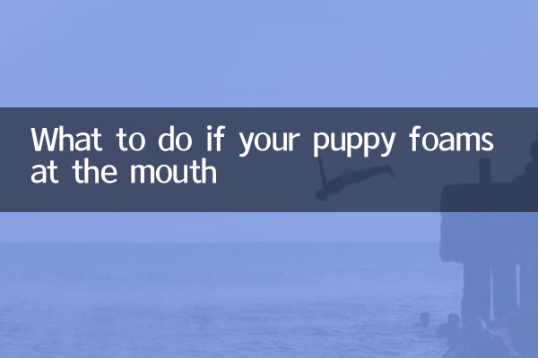 اگر آپ کے کتے منہ پر جھاگ ڈالیں تو کیا کریں