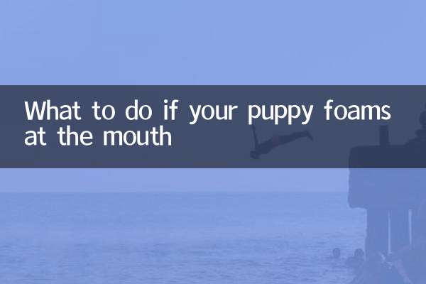 What to do if your puppy foams at the mouth