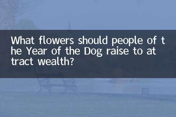 개띠 사람들이 부를 얻으려면 어떤 꽃을 키워야 할까요?